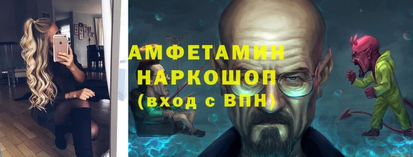 меф Ельня