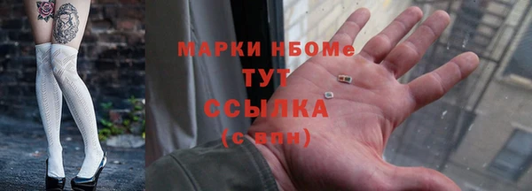 меф Ельня