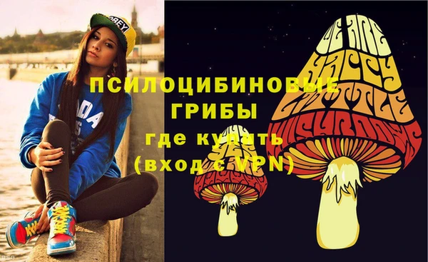 мяу мяу мука Елабуга