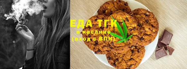 меф Ельня