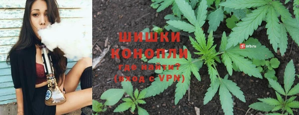 ECSTASY Елизово
