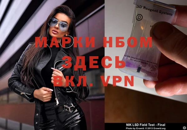 ECSTASY Елизово