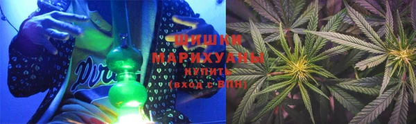 ECSTASY Елизово