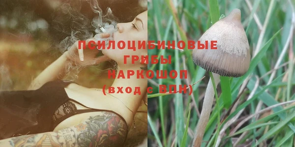 мяу мяу мука Елабуга