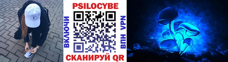 Галлюциногенные грибы Psilocybine cubensis  Жуковский 